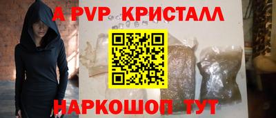 спиды Гай