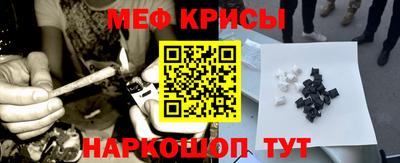 спиды Гай