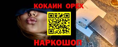твердый Гатчина