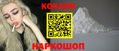 спиды Гай
