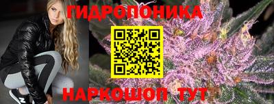 спиды Гай