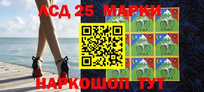 твердый Гатчина