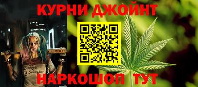спиды Гай