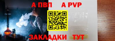 спиды Гай