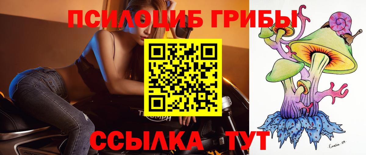 Кандалакша  Псилоцибиновые грибы ЛСД  Вход с VPN  Псилоцибиновые грибы Psilocybe 